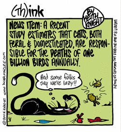 Cats