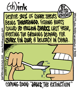Shark Fin Soup