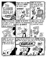 Die Kleinen Erfolge