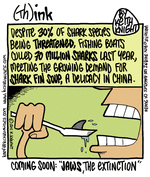 Shark Fin Soup