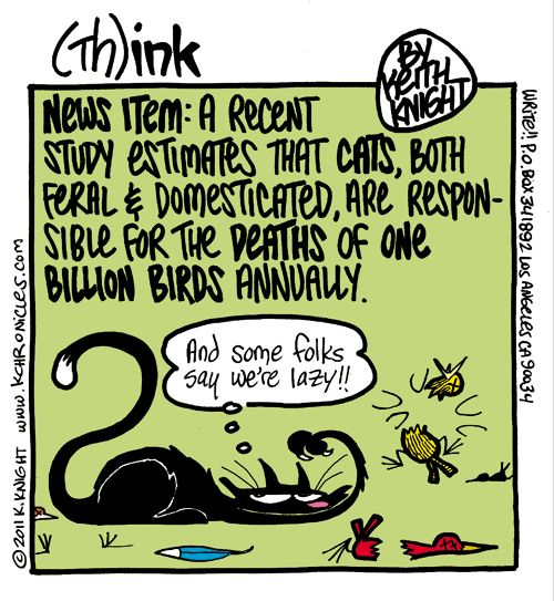 Cats Cats